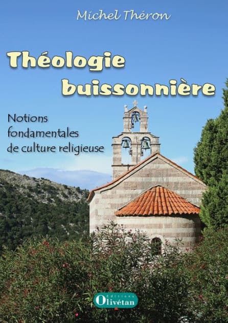 Théologie buissonnière: Notions fondamentales de culture religieuse by Michel Théron