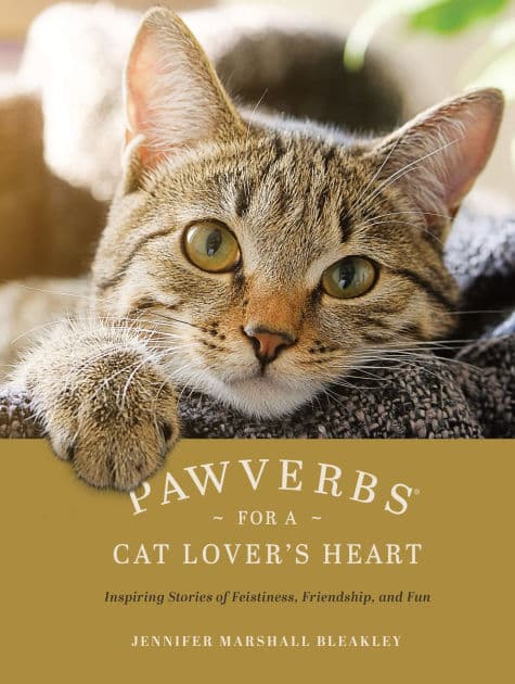 Pawverbs for a Cat Lover's Heart: Inspiring Stories of Feistiness, Friendship, and Fun by Jennifer Marshall Bleakley
