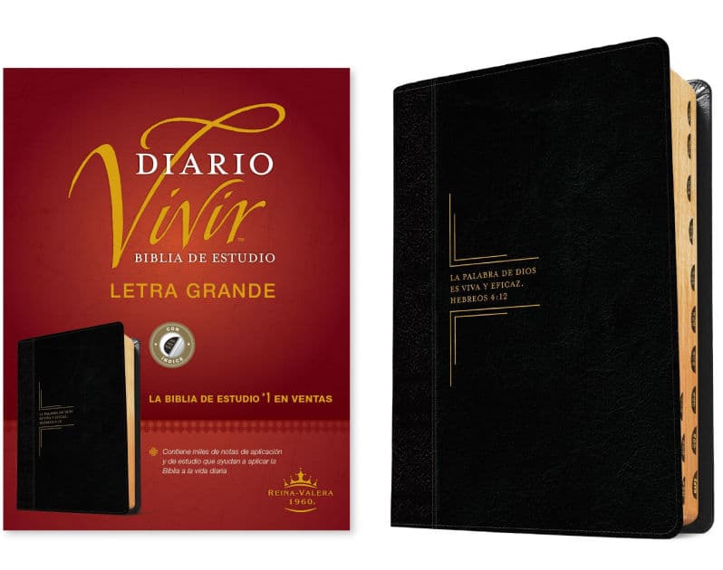 Biblia de estudio del diario vivir RVR60, letra grande (SentiPiel, Negro/Ónice, Índice, Letra Roja) by Tyndale
