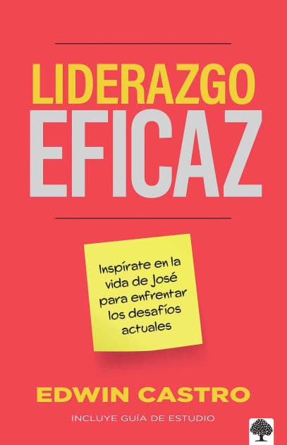 Liderazgo eficaz: Inspírate en la vida de José para enfrentar los desafíos / Efficient Leadership: Find Inspiration from the Life of Joseph to Face Todays Ch by Edwin Castro