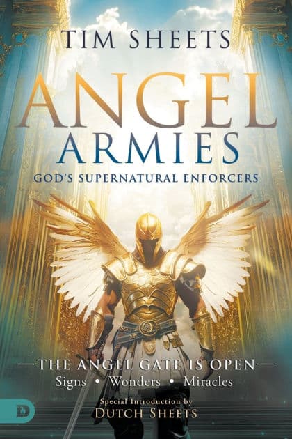 Angel Armies of Healing Awakening by Tim Sheets