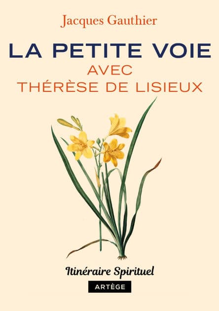 La petite voie avec Thérèse de Lisieux: Itinéraire spirituel by Jacques Gauthier