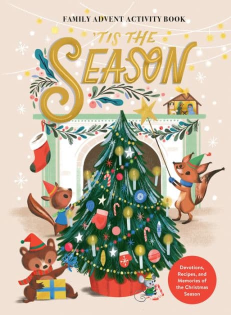 'Tis the Season Family Advent Activity Book: Devotions, Recipes, and Memories of the Christmas Season by Ink, Willow