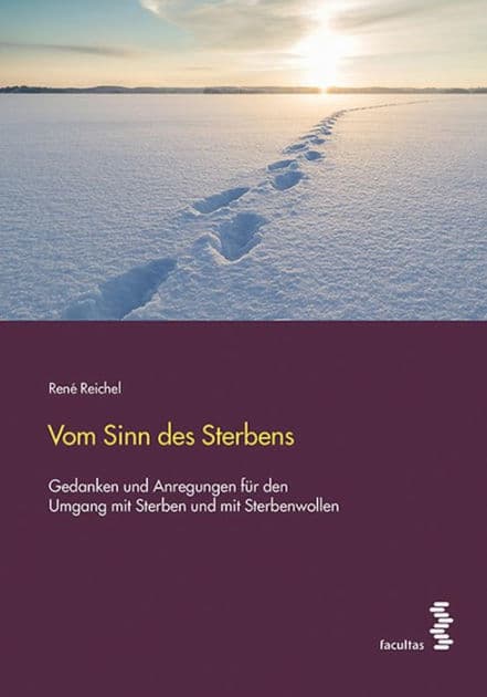 Vom Sinn des Sterbens: Gedanken und Anregungen für den Umgang mit Sterben und mit Sterbenwollen by René Reichel