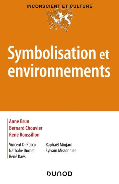 Symbolisation et environnements by Anne Brun
