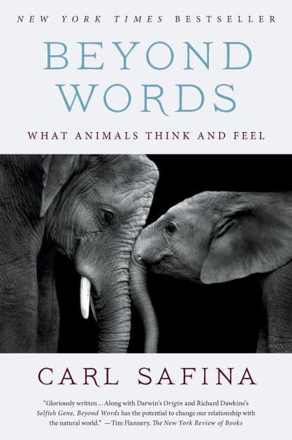 Beyond Words: What Animals Think and Feel by Carl Safina