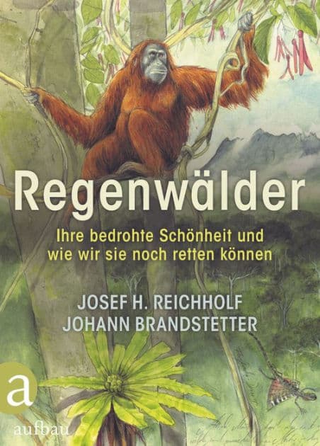 Regenwälder: Ihre bedrohte Schönheit und wie wir sie noch retten können by Josef H. Reichholf