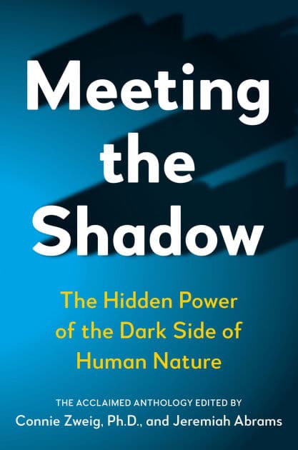 Meeting the Shadow: The Hidden Power of the Dark Side of Human Nature by Connie Zweig PhD