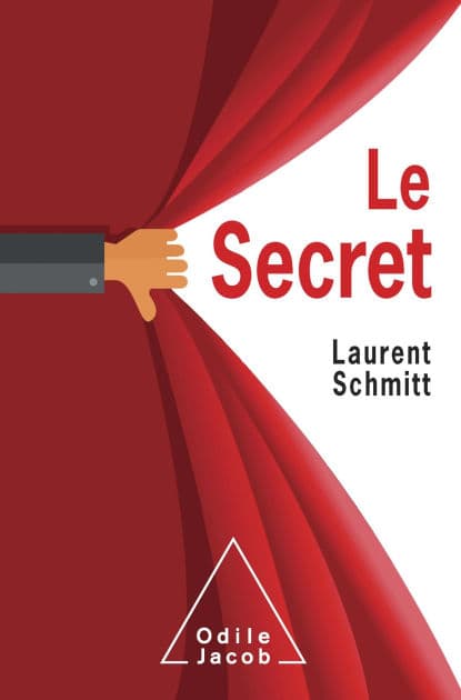 Le Secret by Laurent Schmitt