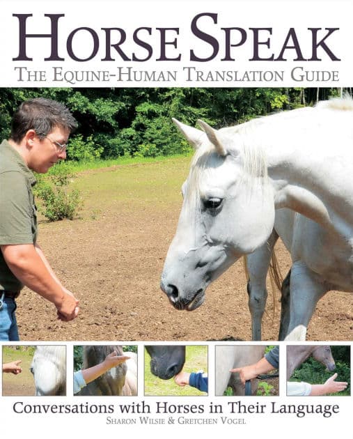 Horse Speak: Conversations with Horses in Their Language by Sharon Wilsie