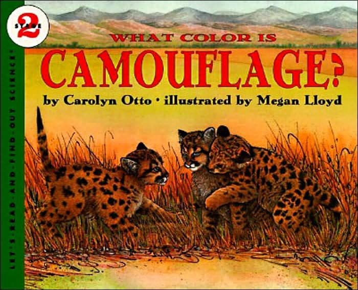 What Color Is Camouflage? by Carolyn B Otto