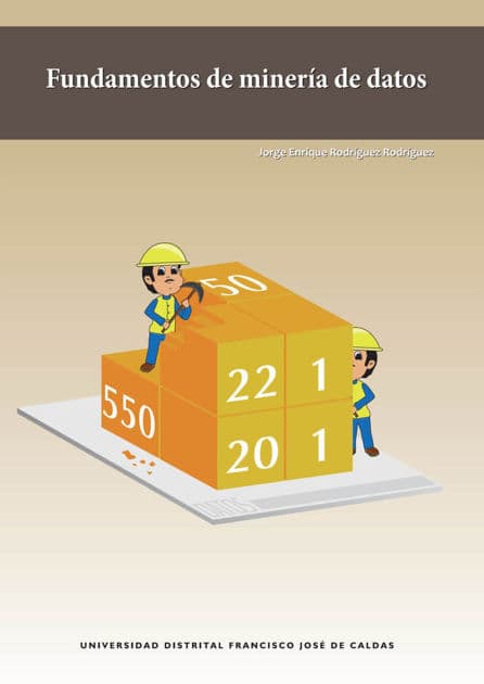 Fundamentos de minería de datos by Jorge Enrique Rodríguez Rodríguez