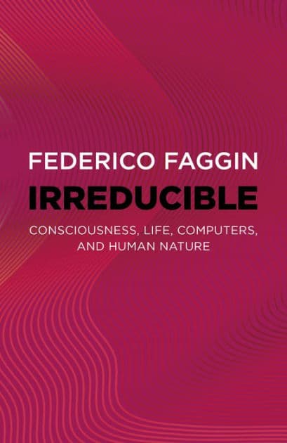 Irreducible: Consciousness, Life, Computers, and Human Nature by Federico Faggin