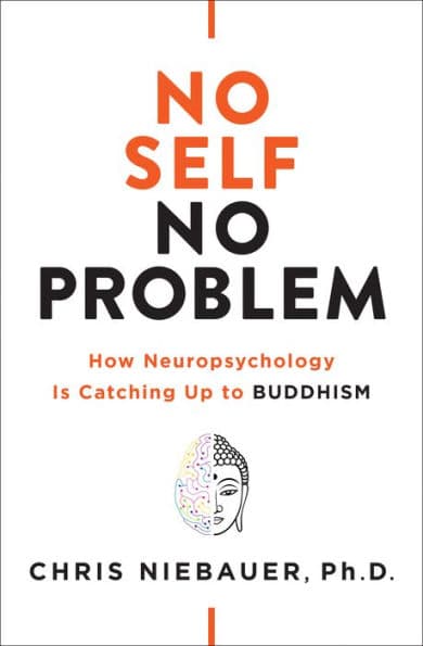 No Self, No Problem: How Neuropsychology Is Catching Up to Buddhism by Chris Niebauer PhD PhD