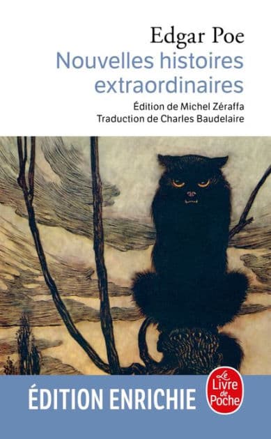 Nouvelles histoires extraordinaires by Edgar Allan Poe