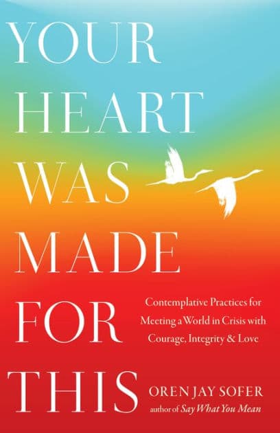 Your Heart Was Made for This: Contemplative Practices for Meeting a World in Crisis with Courage, Integrity, and Love by Oren Jay Sofer