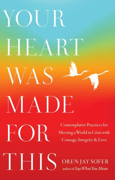 Your Heart Was Made for This: Contemplative Practices for Meeting a World in Crisis with Courage, Integrity, and Love by Oren Jay Sofer