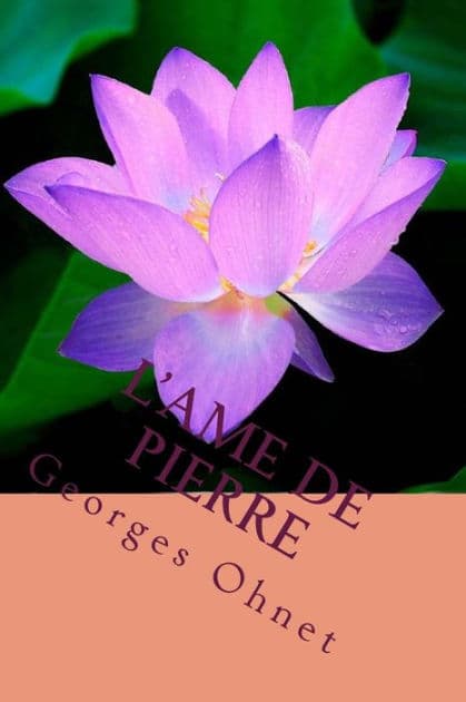 L'ame de Pierre by Georges Ohnet