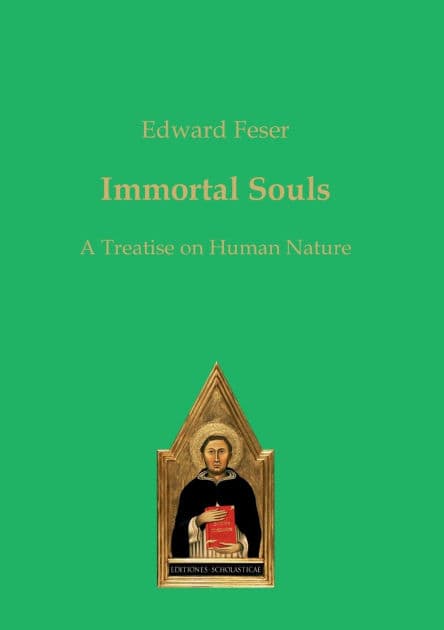 Immortal Souls: A Treatise on Human Nature by Edward Feser