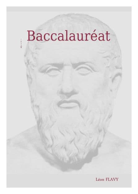 L'INDISPENSABLE DU BAC PHILO: BAC PHILO 2019 by Leon Flavy