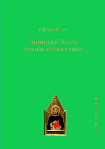 Immortal Souls: A Treatise on Human Nature by Edward Feser