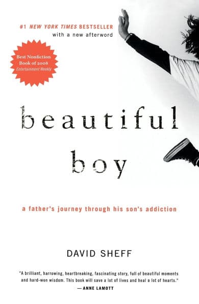 Beautiful Boy: A Father's Journey Through His Son's Addiction by David Sheff
