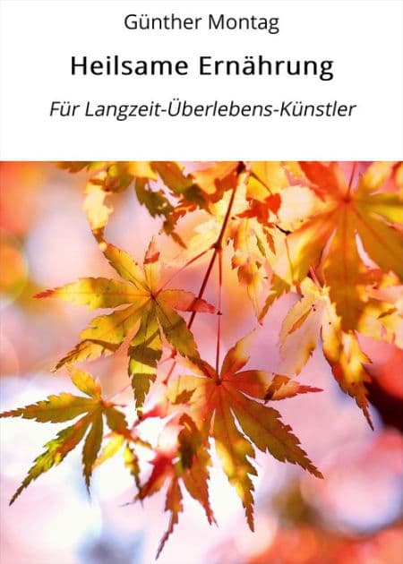 Heilsame Ernährung: Für Langzeit-Überlebens-Künstler by Günther Montag
