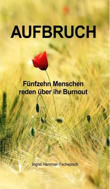 Aufbruch: Fünfzehn Menschen reden über ihr Burnout by Ingrid Hammer-Tschepisch