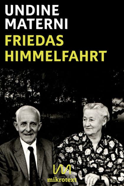 Friedas Himmelfahrt: Erzählung by Undine Materni