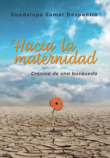 Hacia la maternidad. Crónica de una búsqueda by Guadalupe Zamar