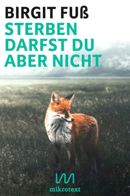 Sterben darfst du aber nicht: Bericht by Birgit Fuß