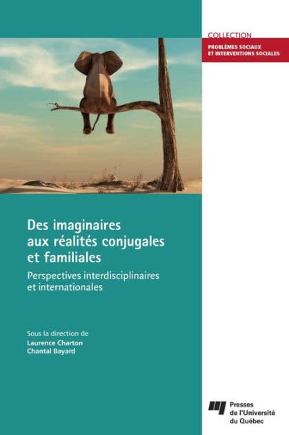Des imaginaires aux réalités conjugales et familiales: Perspectives interdisciplinaires et internationales by Laurence Charton