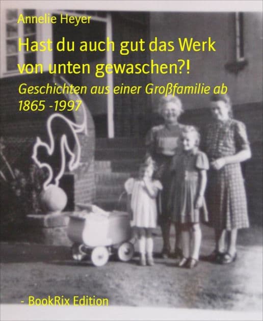 Hast du auch gut das Werk von unten gewaschen?!: Geschichten aus einer Großfamilie ab 1865 -1997 by Annelie Heyer