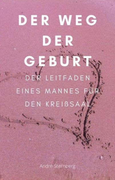 Der Weg der Geburt: Der Leitfaden eines Mannes für den Kreißsaal by Andre Sternberg