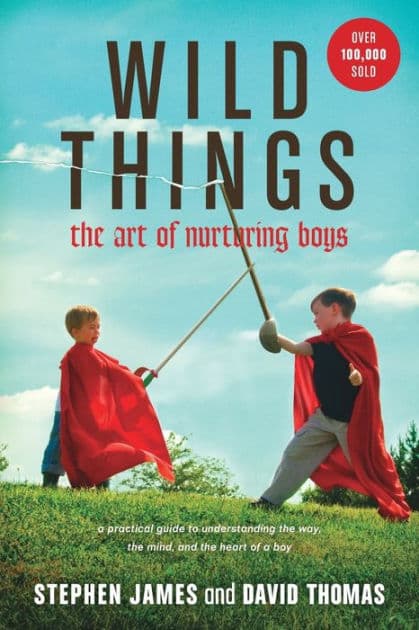 Wild Things: The Art of Nurturing Boys by Stephen James