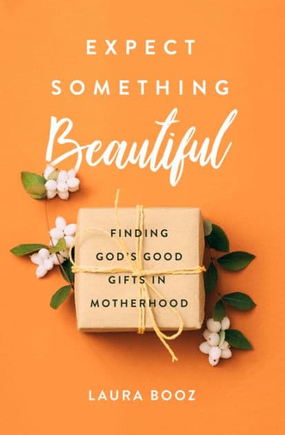 Expect Something Beautiful: Finding God's Good Gifts in Motherhood by Laura Booz