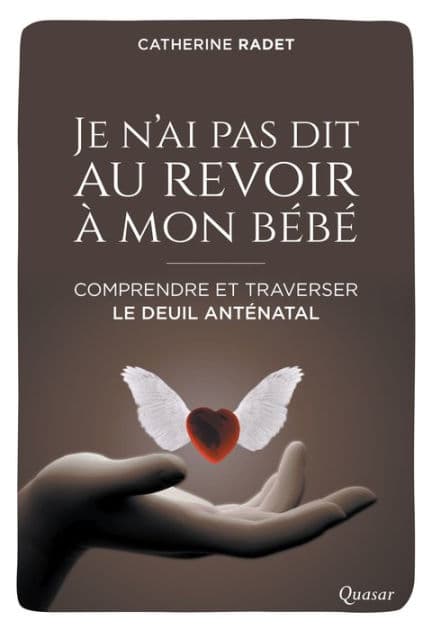 Je n'ai pas dit au revoir à mon bébé: Comprendre et traverser le deuil anténatal by Catherine Radet