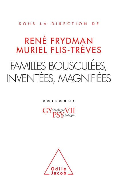 Familles bousculées, inventées, magnifiées: Gypsy VII by René Frydman