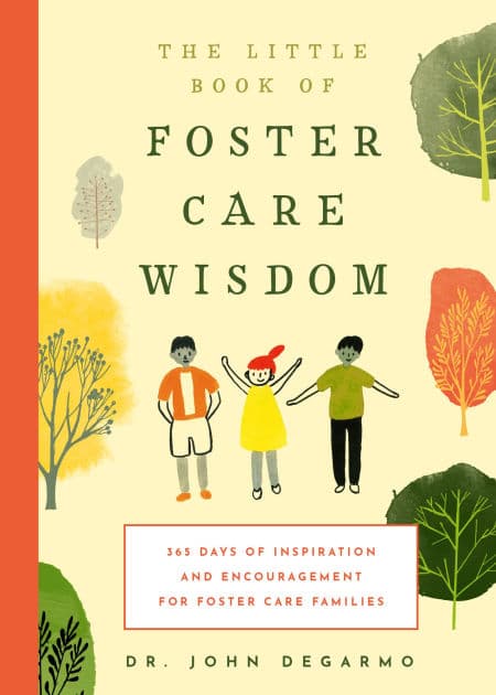 The Little Book of Foster Care Wisdom: 365 Days of Inspiration and Encouragement for Foster Care Families by John DeGarmo