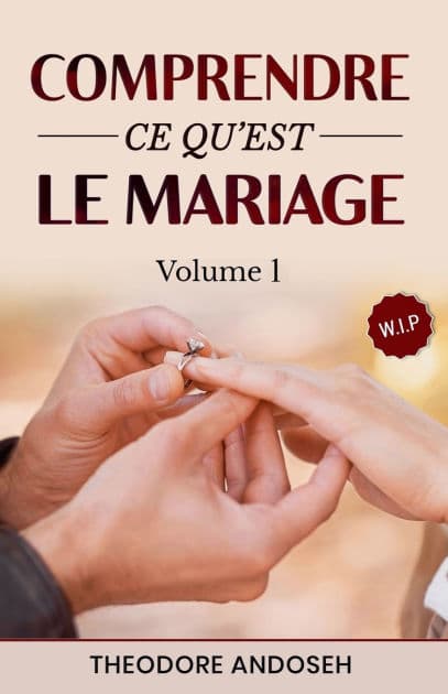 Comprendre ce qu'est le mariage (Volume 1) by Theodore Andoseh