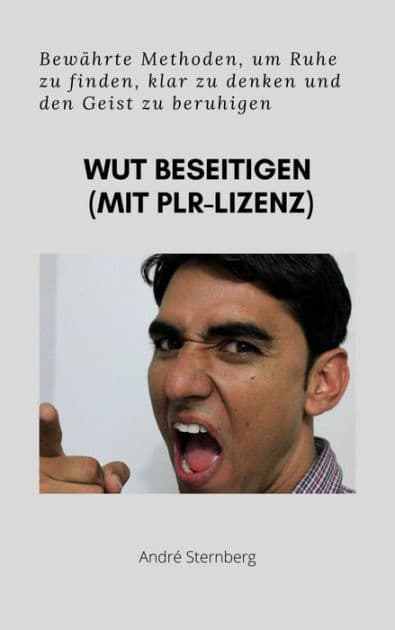 Wut beseitigen (mit PLR-Lizenz): Bewährte Methoden, um Ruhe zu finden, klar zu denken und den Geist zu beruhigen by Andre Sternberg