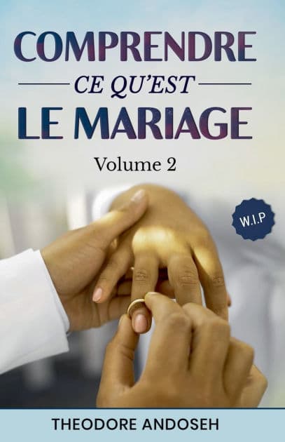 Comprendre ce qu'est le mariage (Volume 2) by Theodore Andoseh