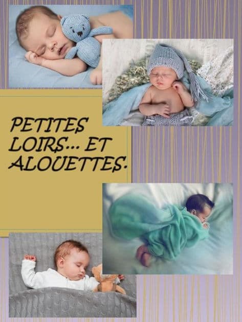Petit Loir et Alouettes by Stefania Sonzogno