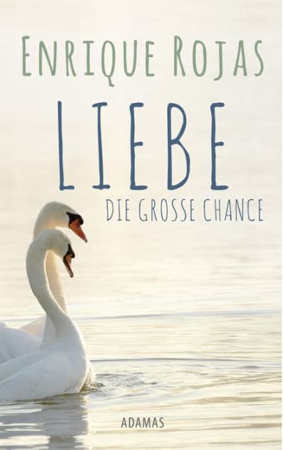 Liebe: Die große Chance by Enrique Rojas