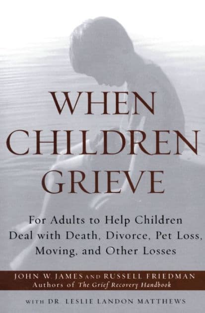 When Children Grieve: For Adults to Help Children Deal with Death, Divorce, Pet Loss, Moving, and Other Losses by John W. James