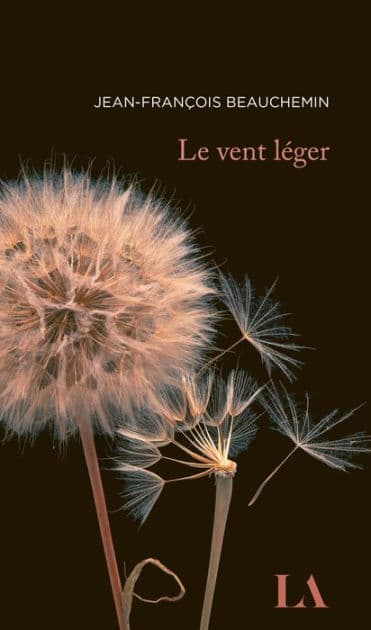 Le vent léger by Jean-François Beauchemin