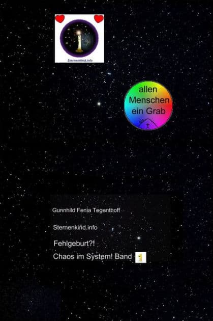 Fehlgeburt? Chaos im System! Band 1 by Gunnhild Fenia Tegenthoff