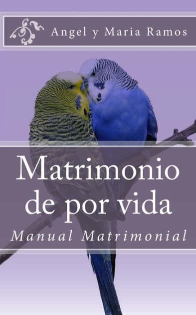 Matrimonio de por vida: Manual Matrimonial by Maria V Ramos
