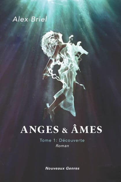 Anges & Âmes: Tome 1: Découverte by Alex Briel