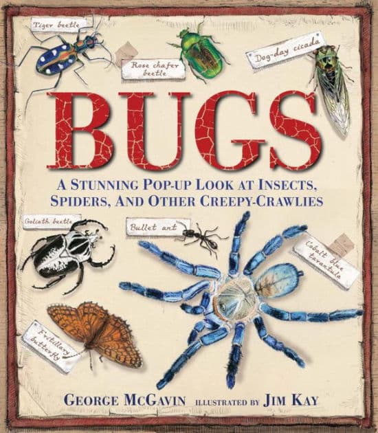 Bugs: A Stunning Pop-up Look at Insects, Spiders, and Other Creepy-Crawlies by George McGavin